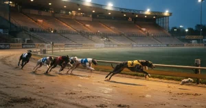 Apuestas de carreras de galgos 2026 — licencia, cuotas y casas legales